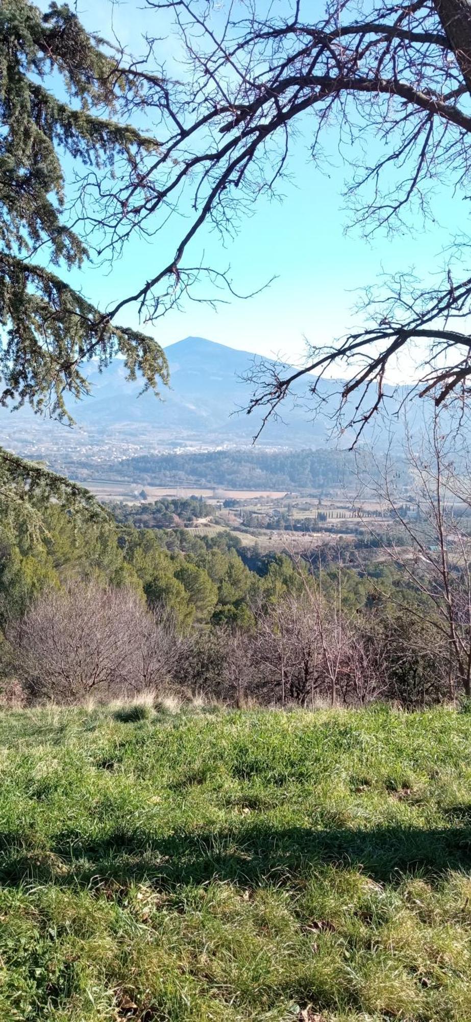 Studio Tout Confort En Provence Mont Ventoux. Бедуэн Экстерьер фото